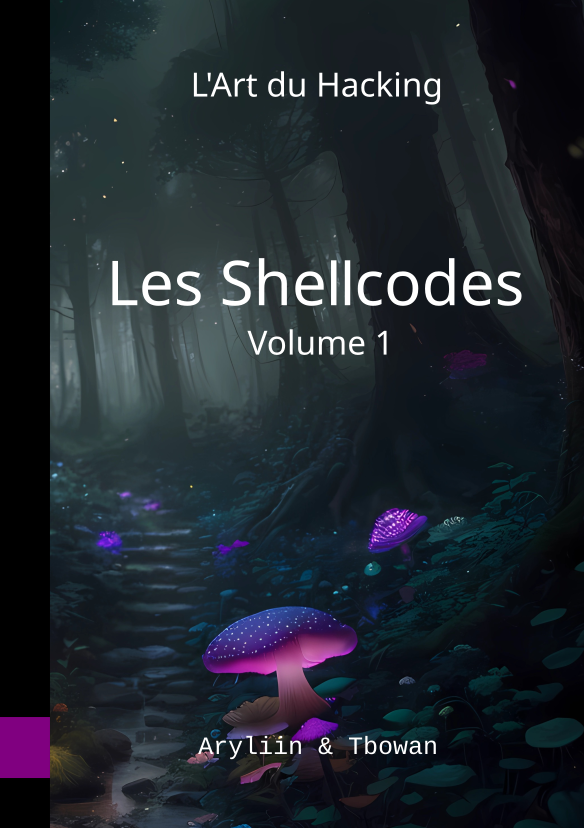 Illustration du livre Les shellcodes